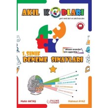 1. Sınıf Akıl Kodları Deneme Sınavları Palme Yayınevi