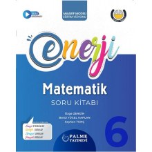 6. Sınıf Matematik Enerji Soru Kitabı Palme Yayınları