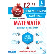 7. Sınıf Nar Tanesi Matematik 12 Deneme Sınavı Nar Test